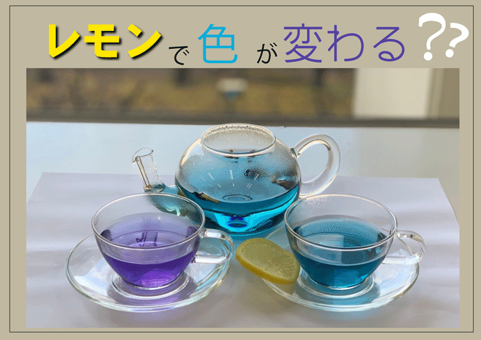 色が変わる.gif